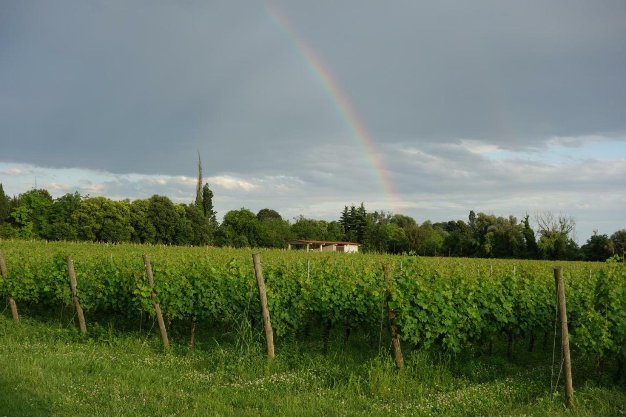 Agriturismo Le Giarine Fogliano Redipuglia ภายนอก รูปภาพ