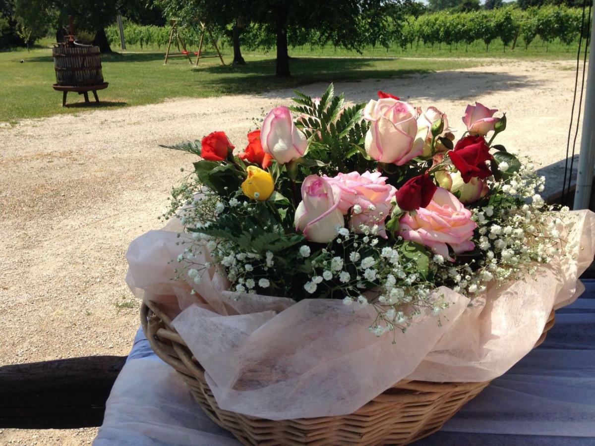 Agriturismo Le Giarine Fogliano Redipuglia ภายนอก รูปภาพ